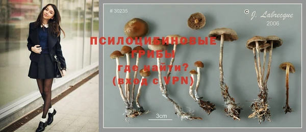 амф Осинники