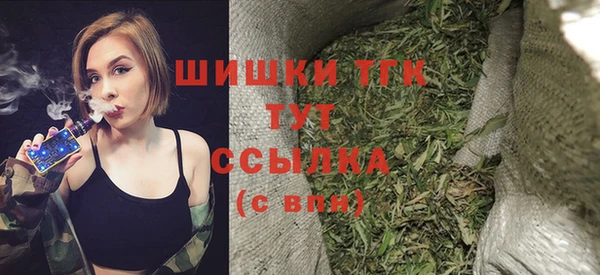 твердый Осташков