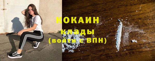 твердый Осташков