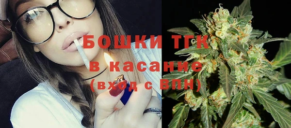 твердый Осташков