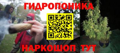 ALPHA-PVP Новозыбков