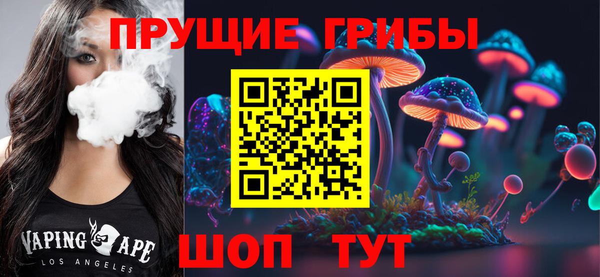 Псилоцибиновые грибы Psilocybe Отрадное