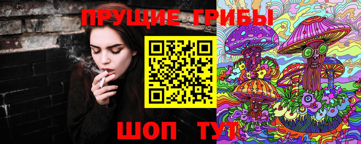 Отрадное  Псилоцибиновые грибы GOLDEN TEACHER  Вход с VPN 